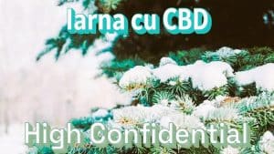 Iarna cu CBD High Confidential