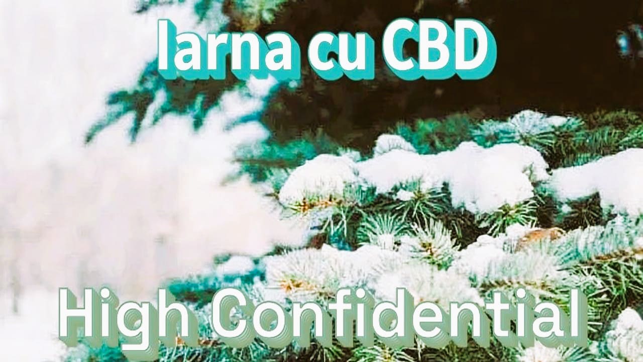 Iarna cu CBD High Confidential