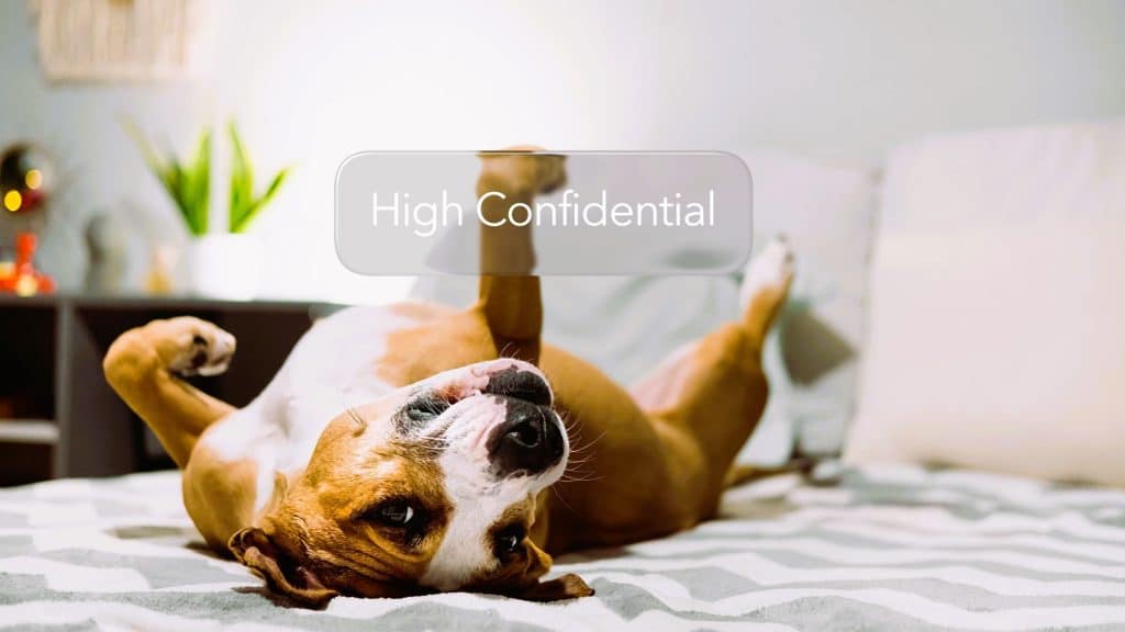 CBD pentru animale de companie