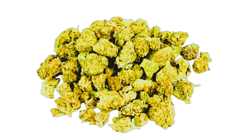 Floarea Amnesia între 15% și 20% CBD și fără THC