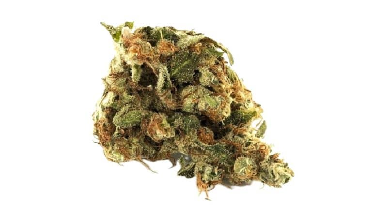Pineapple Haze 15 CBD