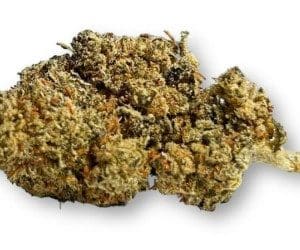 Zero Gravity CBD premium