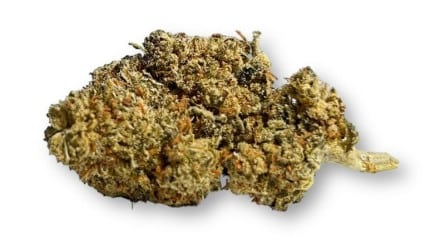 Zero Gravity CBD premium