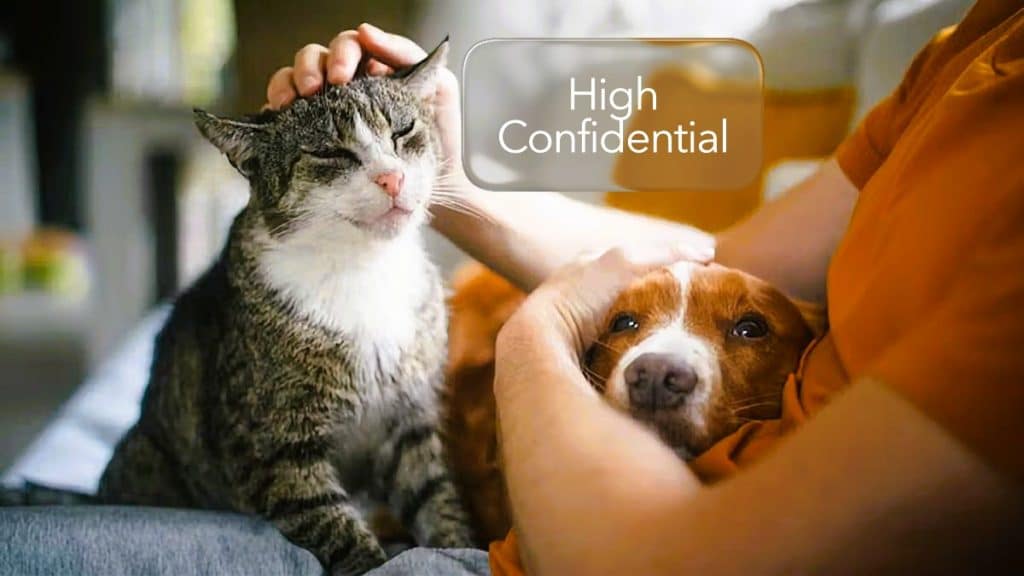 Care este diferența dintre uleiul CBD pentru oameni și uleiul CBD pentru animale