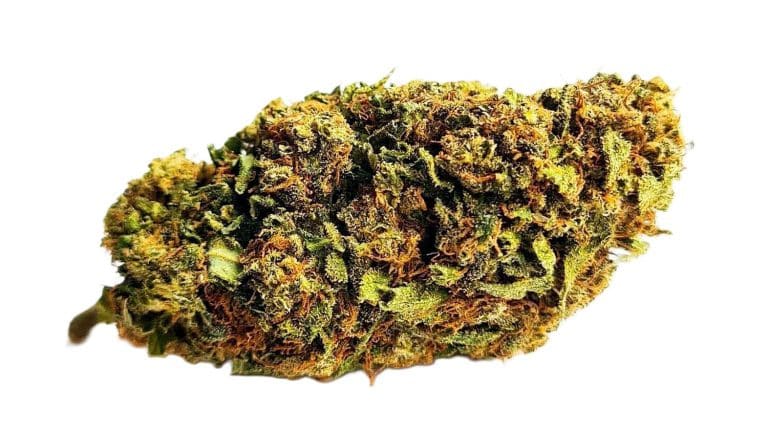 Mango Kush 15 % CBD & 25 % HPC