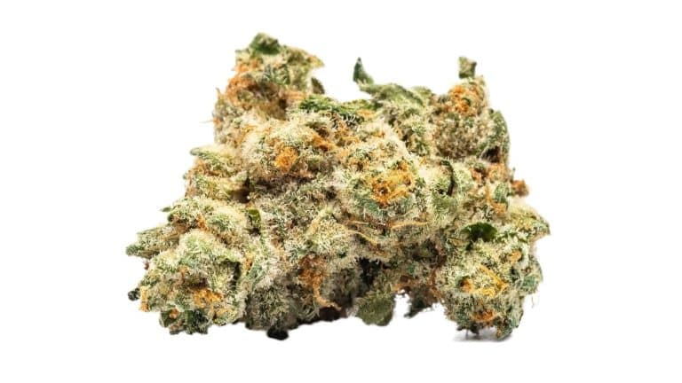 Jack Herer 15% CBD fara THC