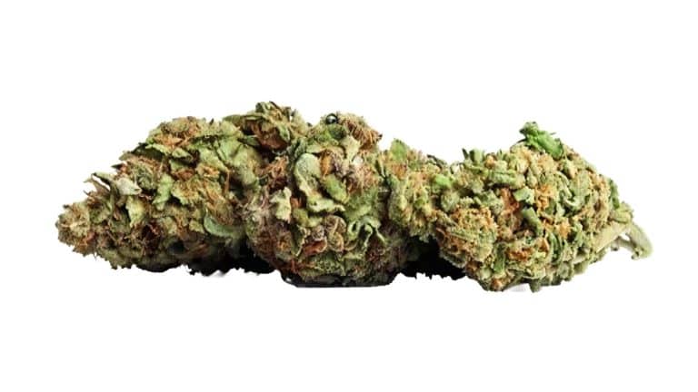 White Widow 15 % CBD fara THC